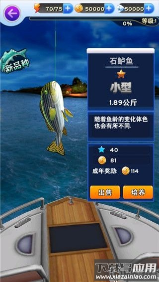 全民钓鱼破解版