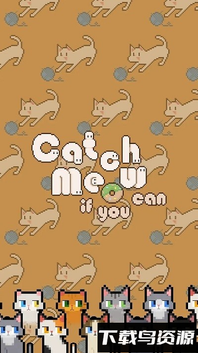 数猫猫最新版截图1