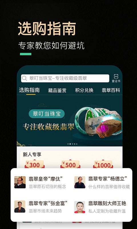 翠叮当珠宝软件