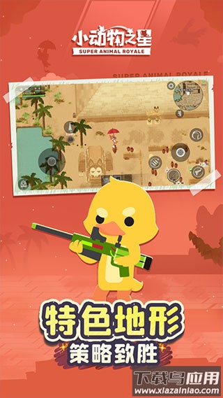 小动物之星最新版截图3