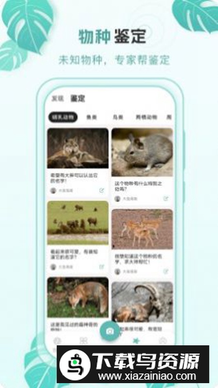 百科物语软件手机版最新版截图2