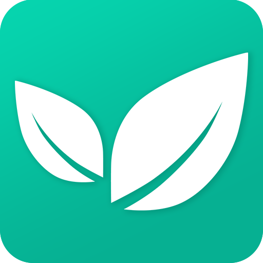 绿野多壁纸官方版