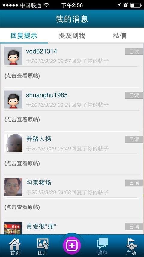 猪猪论坛官方版最新版截图2