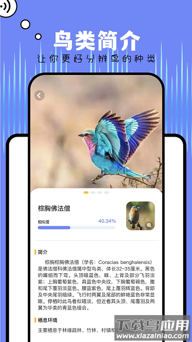 精读圣书2025版最新版截图3