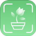 青松奇源植物百科app最新版