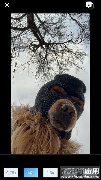 悟空智能遥控器软件最新版截图3