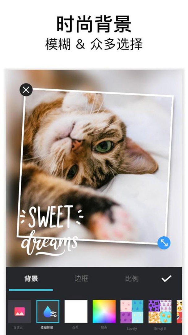 魔法P图最新版最新版截图2
