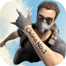 王牌战争果盘游戏