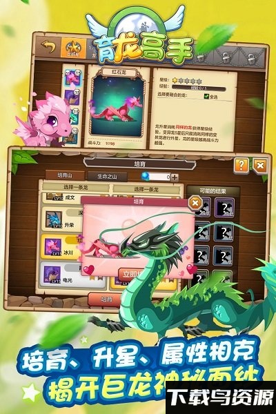 育龙高手单机破解版最新版截图4