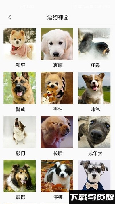 狗狗狗语言翻译器app最新版截图4