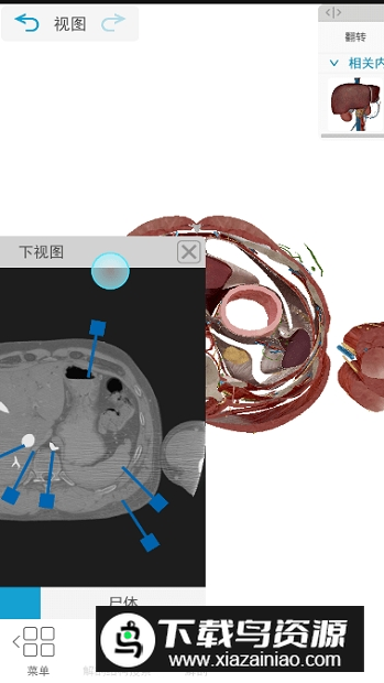 atlas解剖软件已付费版最新版截图3