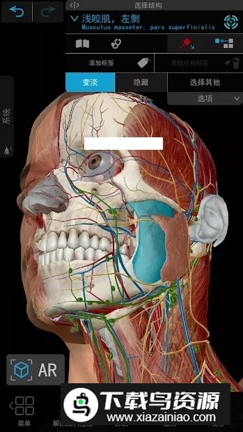 atlas解剖软件已付费版最新版截图4