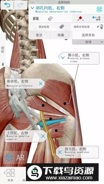atlas解剖软件已付费版最新版截图5