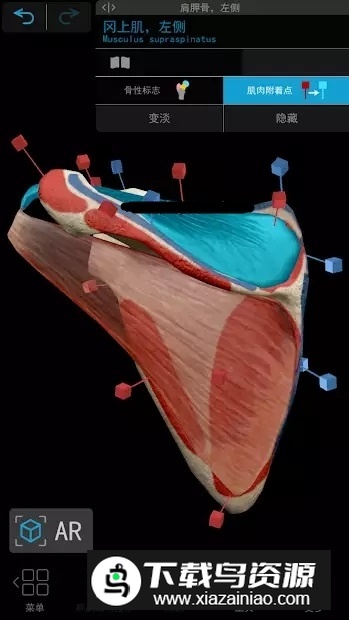 atlas解剖软件已付费版最新版截图6