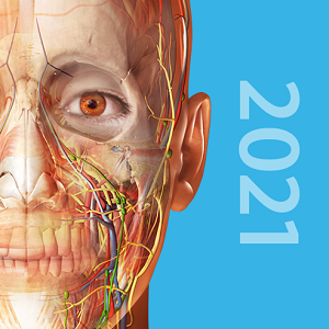 atlas解剖软件已付费版