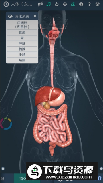 Human body female3d(女性人体模型软件手机版)最新版截图1