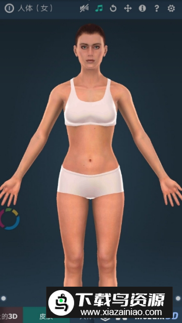 Human body female3d(女性人体模型软件手机版)最新版截图3