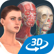 Human body female3d(女性人体模型软件手机版)