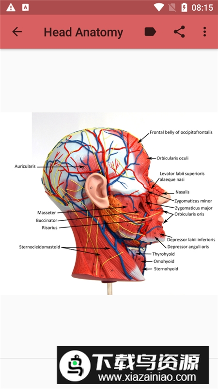 anatomy人体解剖图谱app最新版最新版截图2