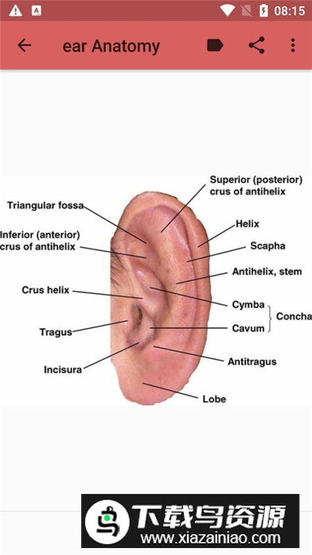 anatomy人体解剖图谱app最新版最新版截图4