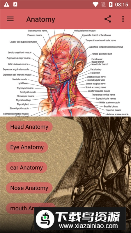 anatomy人体解剖图谱app最新版最新版截图6