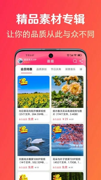 淘素材软件最新版截图5