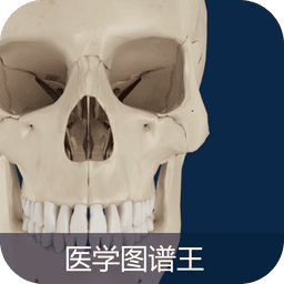 医学图谱王最新版