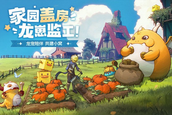 龙骑士学园手游官方版最新版截图5