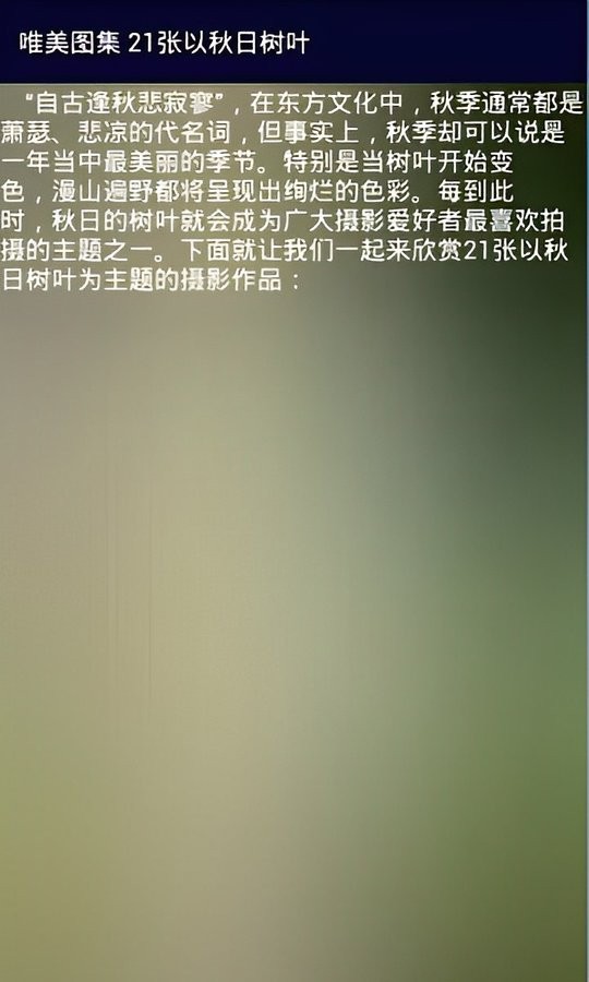 图行天下手机版最新版截图1