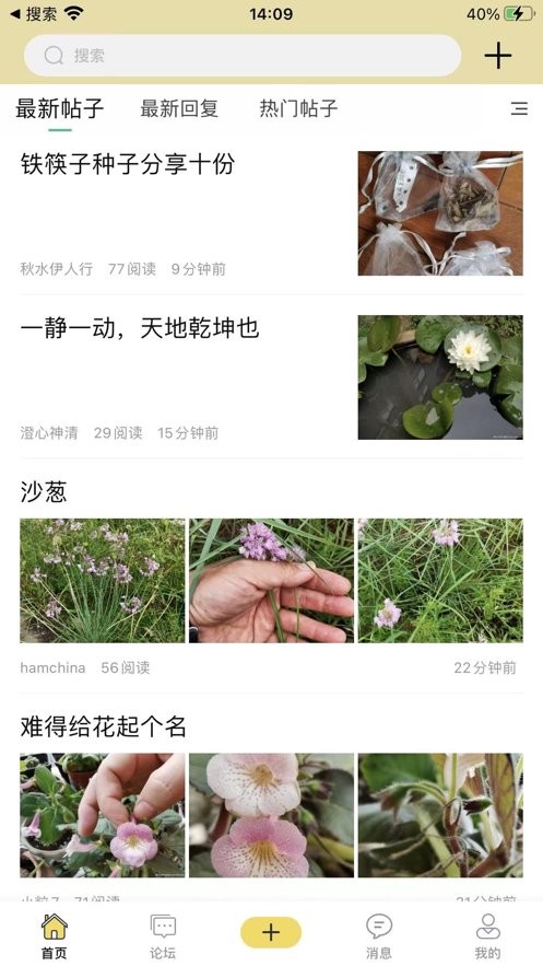 踏花行最新版最新版截图2