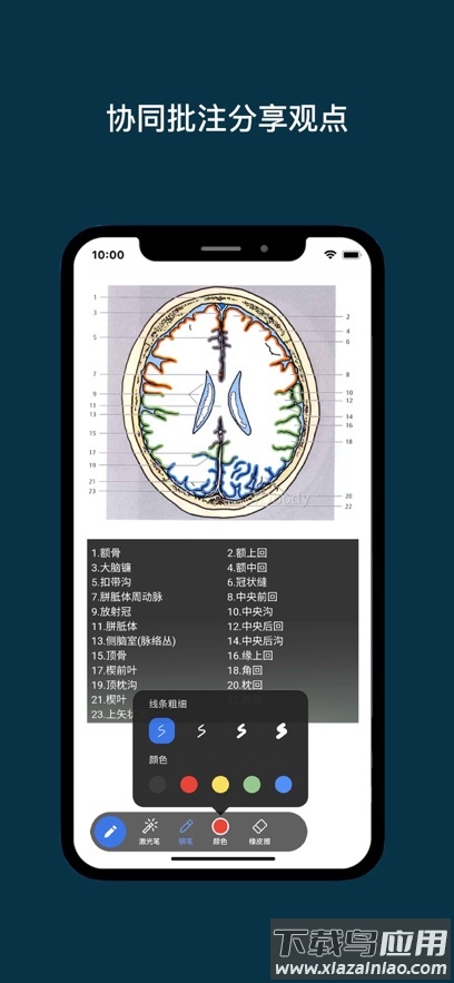 专家宝app最新版截图3