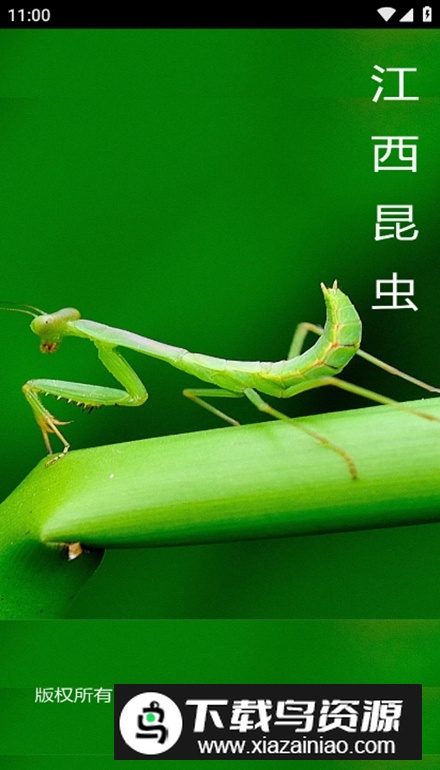 江西昆虫app安卓版最新版截图2