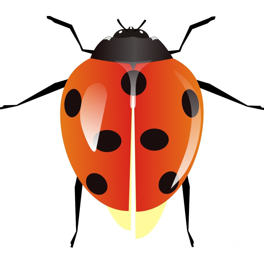 江西昆虫app安卓版