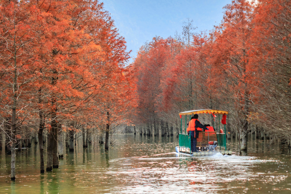 千姿百媚TV电视直播