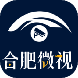 合肥微视软件