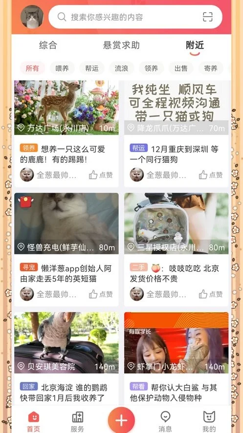 懒洋葱官方版最新版截图1
