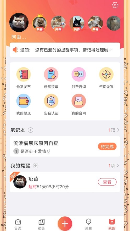 懒洋葱官方版最新版截图2