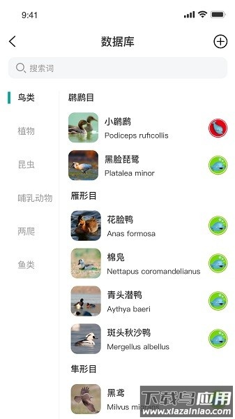 南通生物脸谱最新版