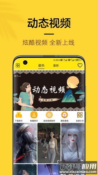 橙子4d动态壁纸手机版截图1