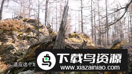 小微电视免费纯净版APK最新版截图2