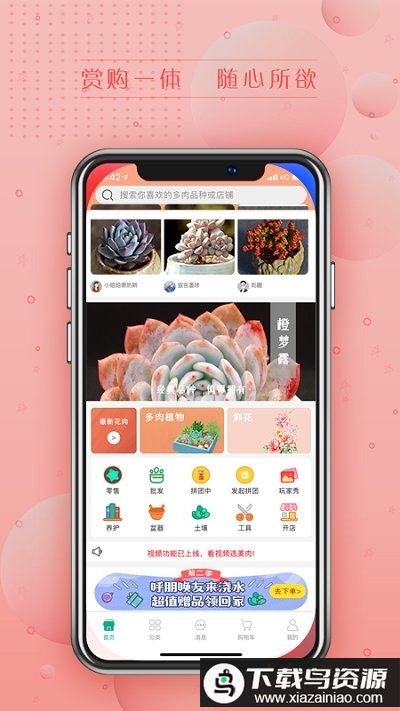 吾花肉最新版下载