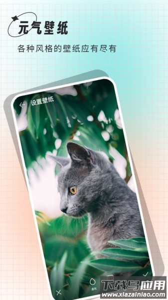 清壁纸app截图3