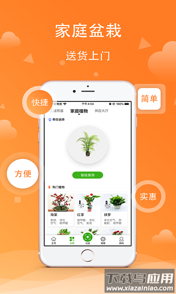 苗木之家识别软件最新版截图3