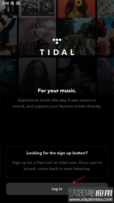 tidal音乐官方版