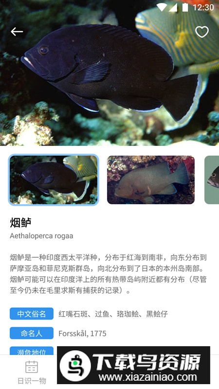 奇妙海洋百科app手机版最新版截图2