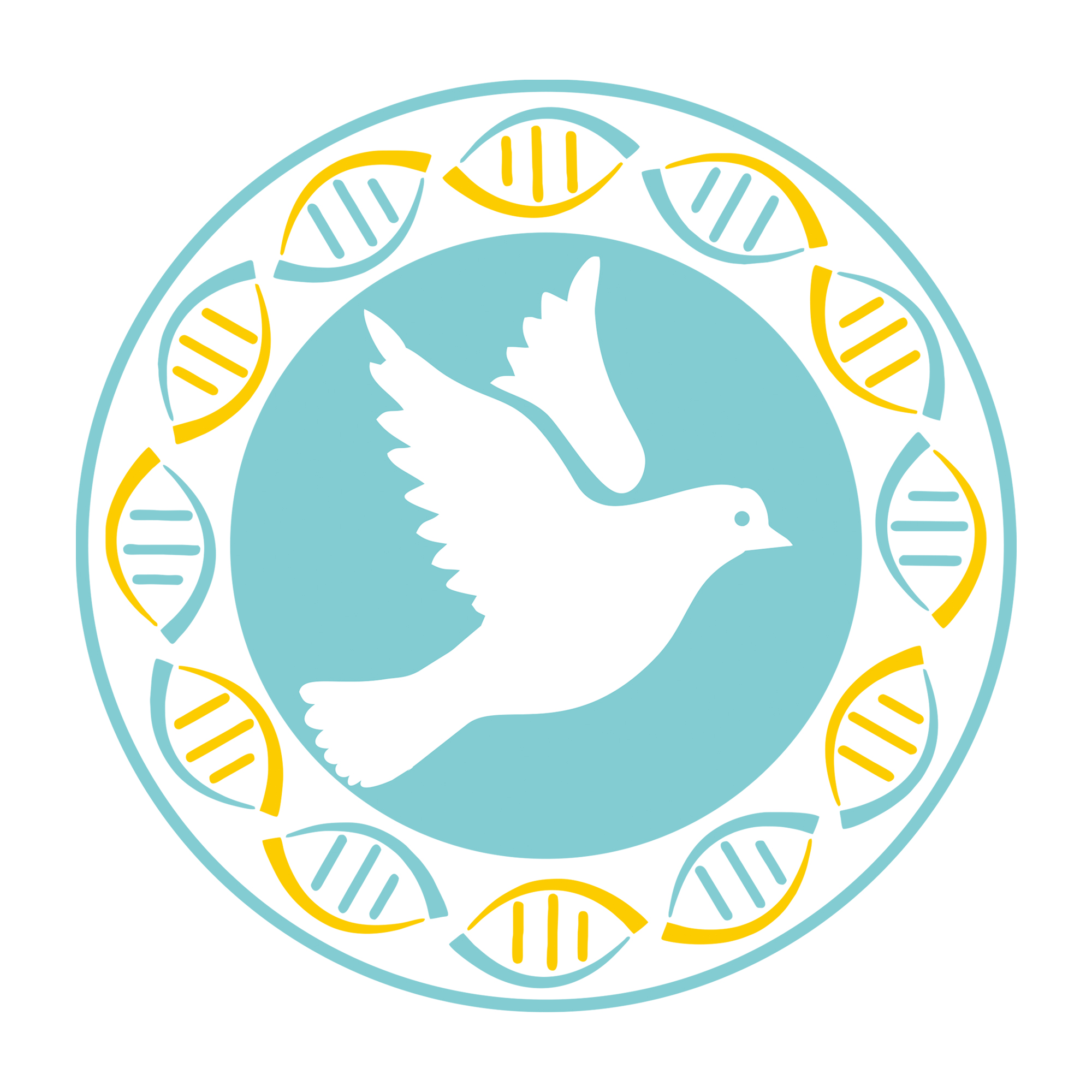 小鸟归巢app手机版