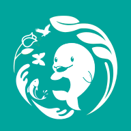 南通生物脸谱app下载安装