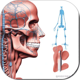 解剖和生理学软件