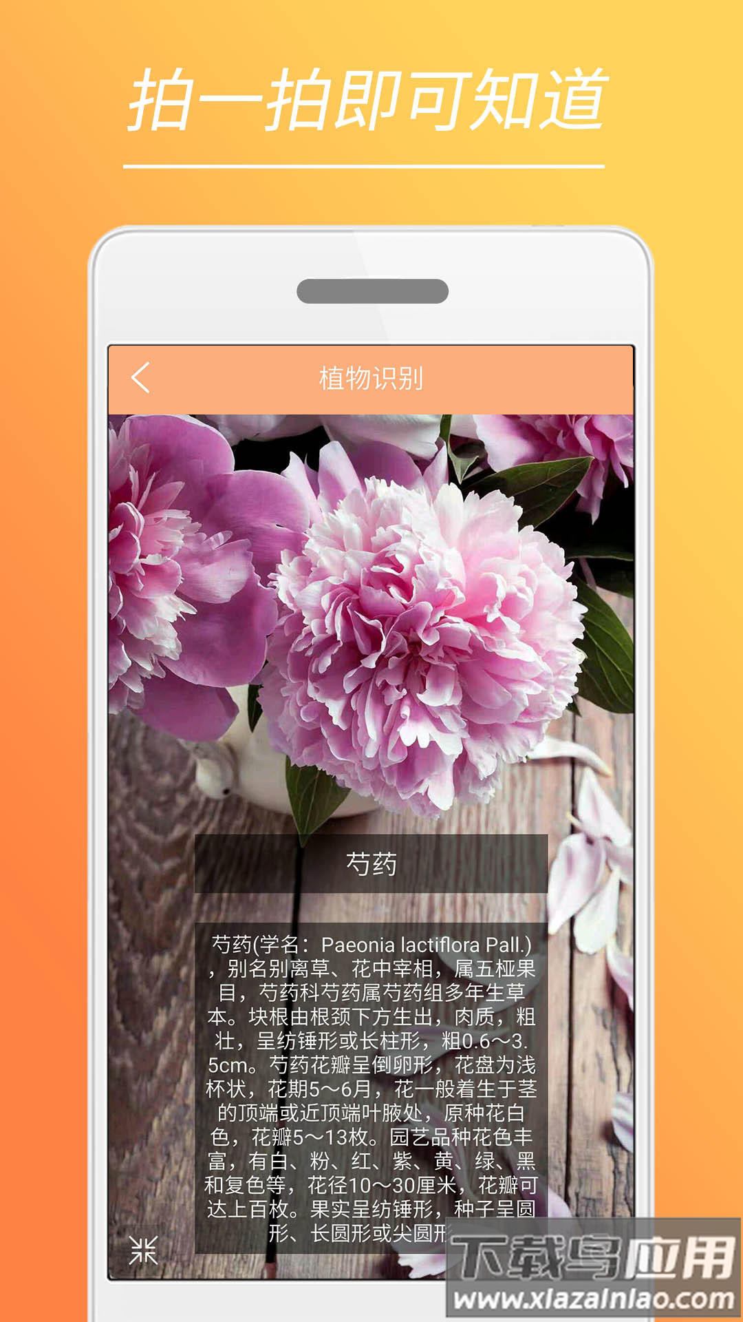 时光美图app截图5