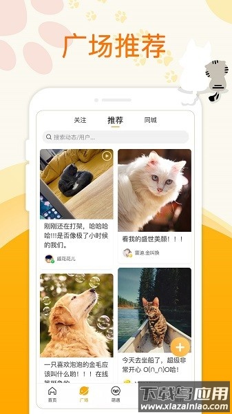 萌宠大陆官方版最新版截图1